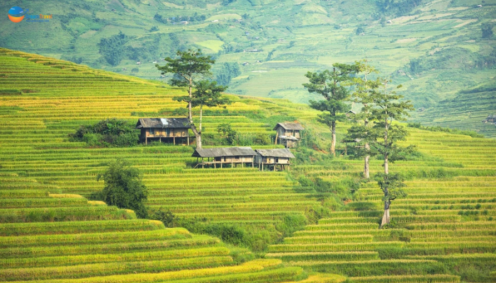 Du lịch Sapa Núi và Mây 3 đêm 2 ngày (đi và về bằng tàu hỏa)