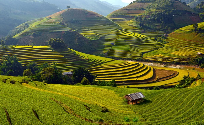 Du lịch Tây Bắc 4 ngày: Mù Căng Chải - Điện Biên - Sơn La - Mộc Châu