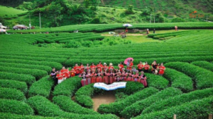 Giá tour du lịch Tây Bắc bao nhiêu là hợp lý